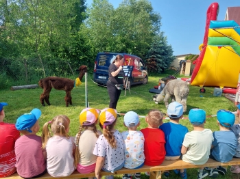 Zdjęcie WhatsApp 2025-06-05 o 08.26.18_3c0138d4