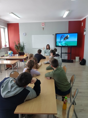 0203b1aa-6bb7-4996-8f8c-5c6fbc142cea