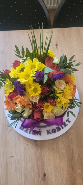 WhatsApp Image 2026-03-12 at 08.51.00 (1).jpeg