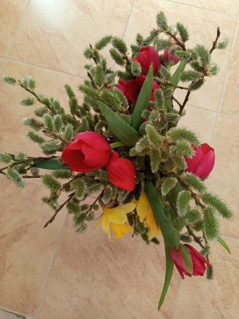 WhatsApp Image 2026-03-23 at 19.53.22.jpeg